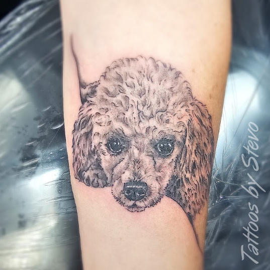 stevodogtattoo.png