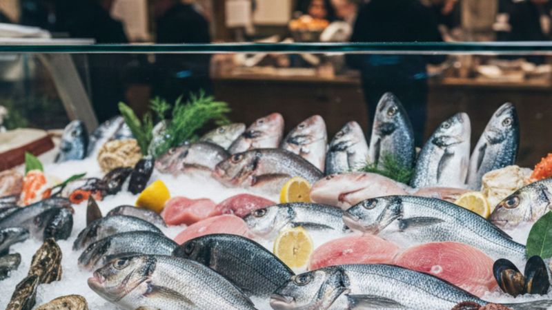 A Seasonal Guide to What's Biting Off the Coast of Long Island - Featured Image.jpg