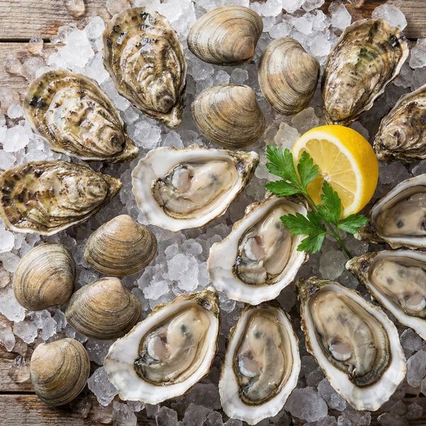 Fresh Long Island oysters and clams arranged on a bed of crushed ice with a lemon wedge to highlight freshness.