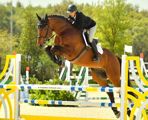 Oracle de Reve 2.jpg