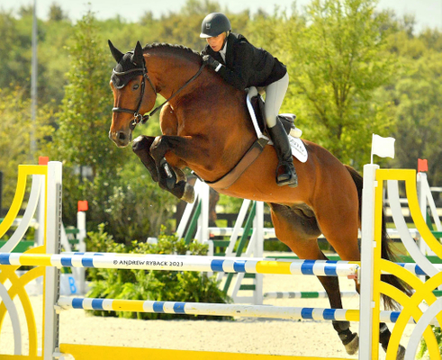 Oracle de Reve 2.jpg