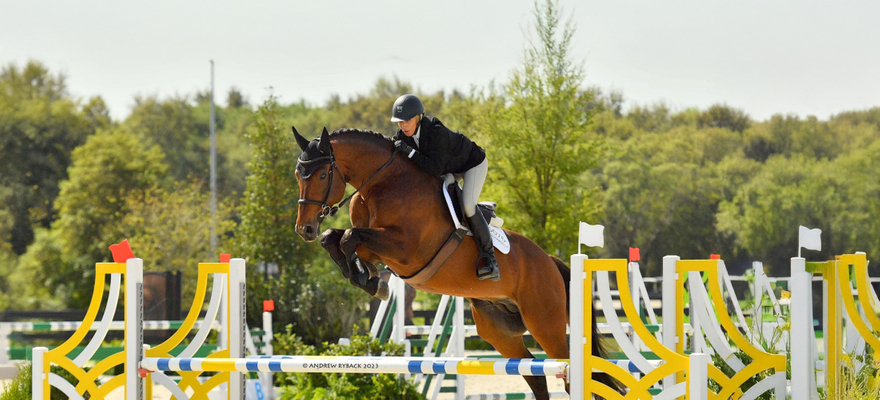 Oracle de Reve Hero.jpg