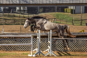 Quantum Jump Good.JPG