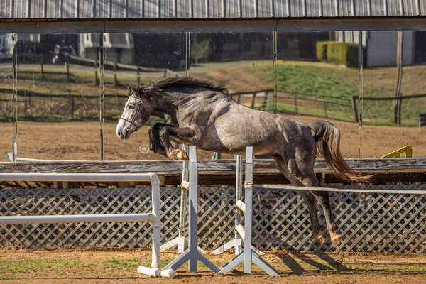 Quantum Jump Good.JPG