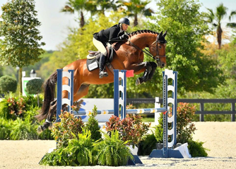 Oracle Jump Post 1.jpeg