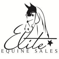 Elite Equine Sales (1).jpg