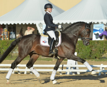 Diamond de Saint Val.png