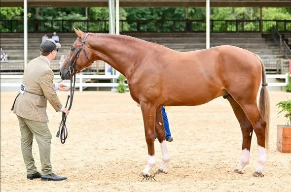 Rebrandt good confo.jpg