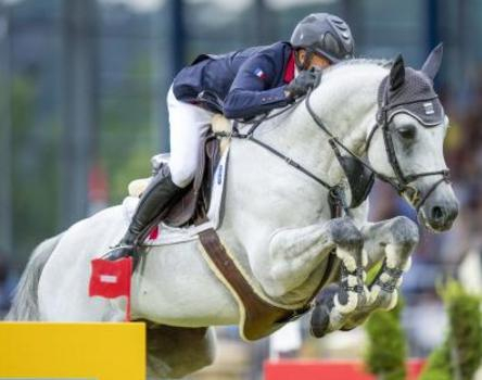 Vangog du Mas Garnier.jpg