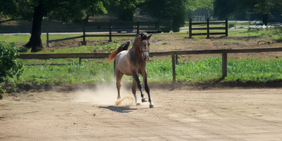 Quantum inspection.jpg