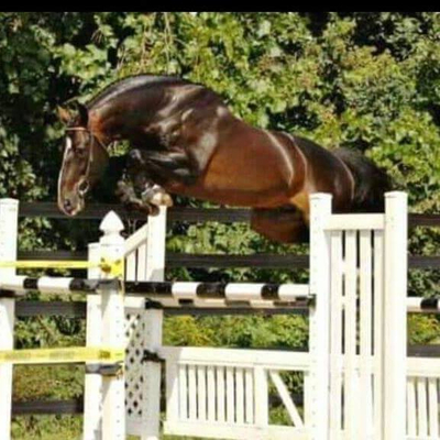 Coronado WW free jumping.jpg