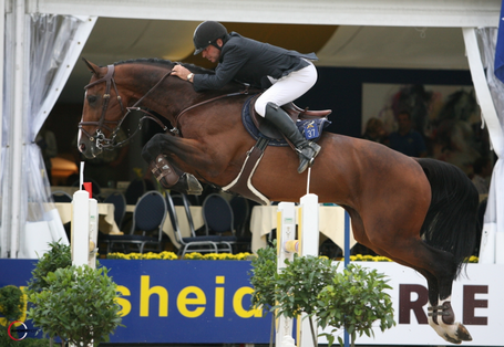 Querlybet Hero 3.png