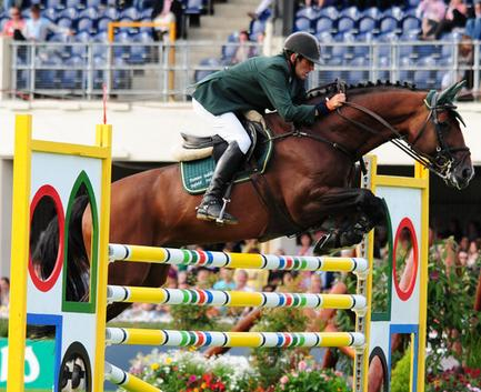 Camiro de Haar Z.jpg