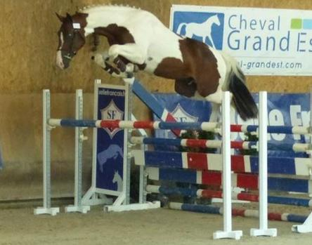 Far West de la Violle.jpg