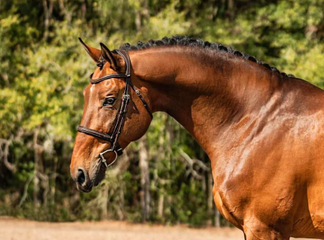 Oracle Head Shot.jpg