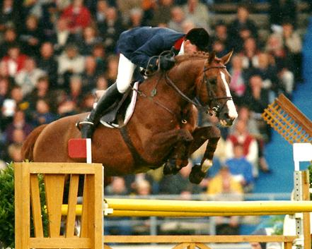 Apache d'Adriers.jpg