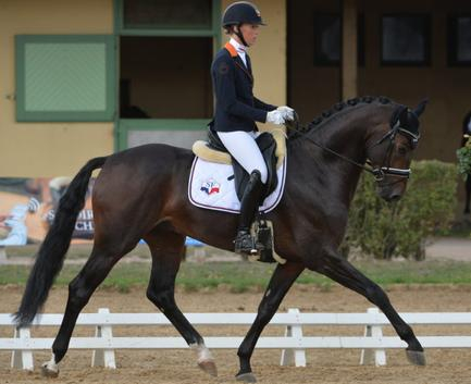 Emotion de Saint Val.jpg