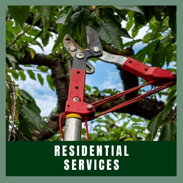 residential services 