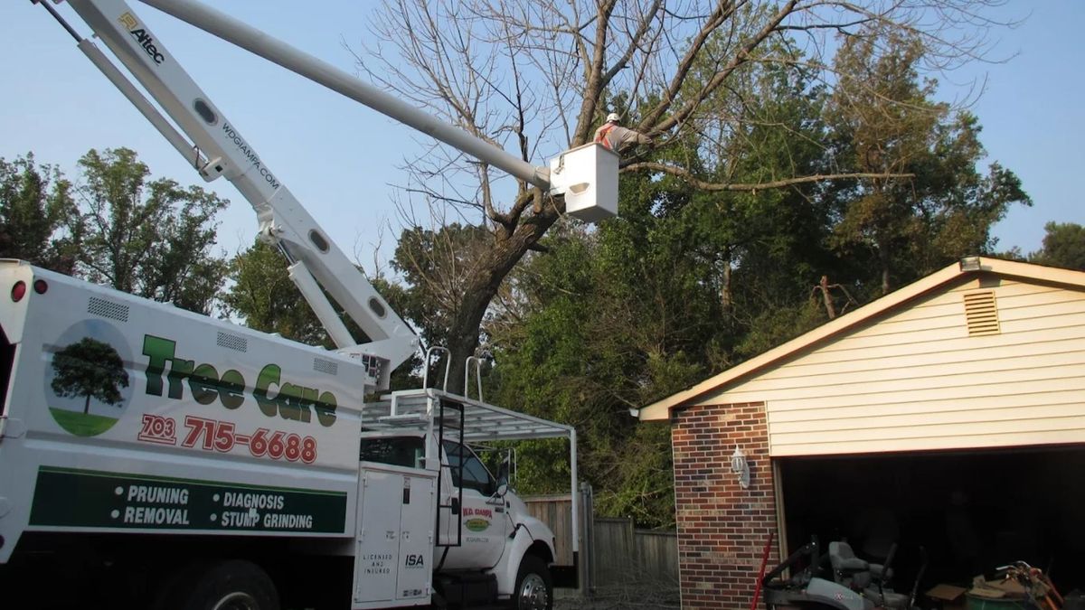 company truck trimming tree 