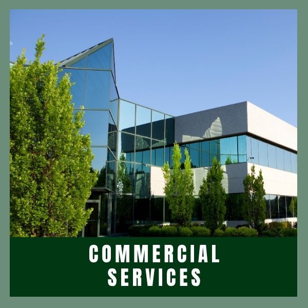 Commercial Services 