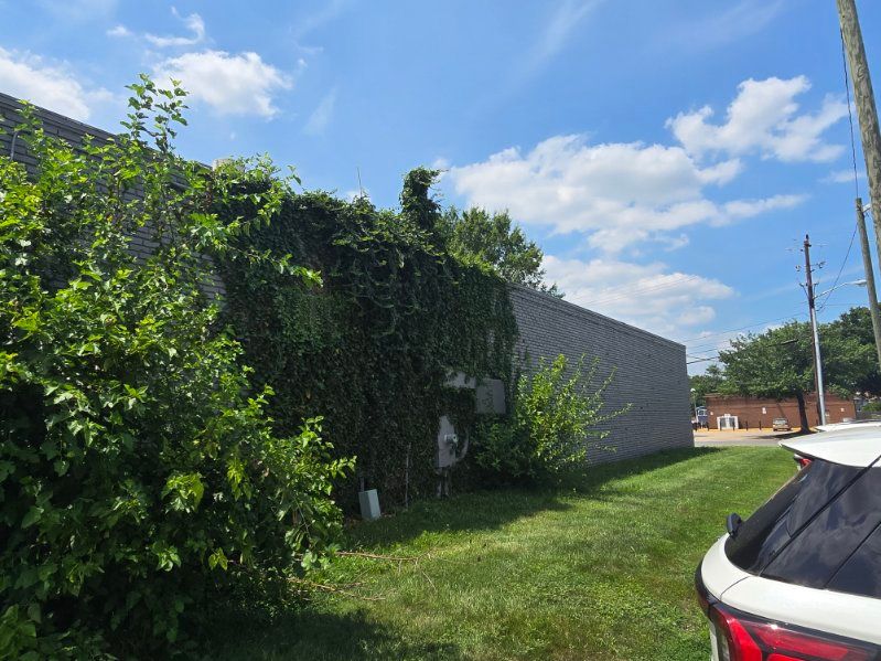 wdgiampainctreelandscape12.jpg