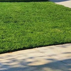 edged lawn