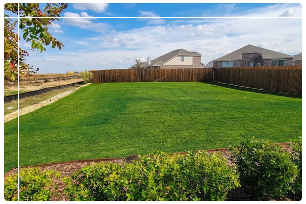 green yard 