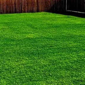 Green Lawn