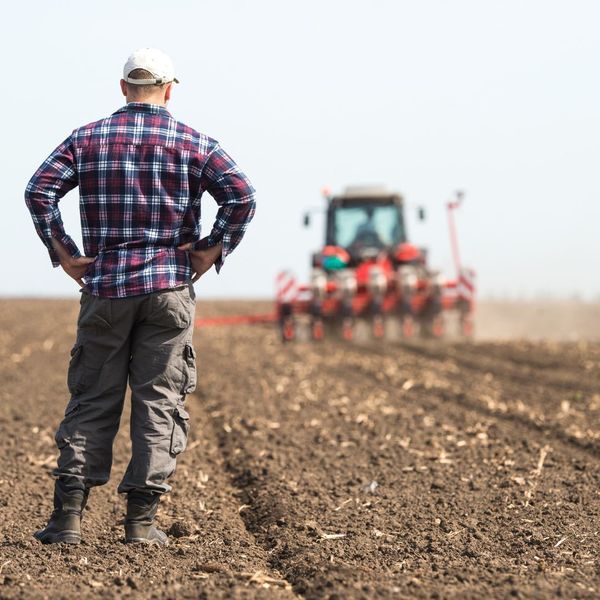 tilling up field 