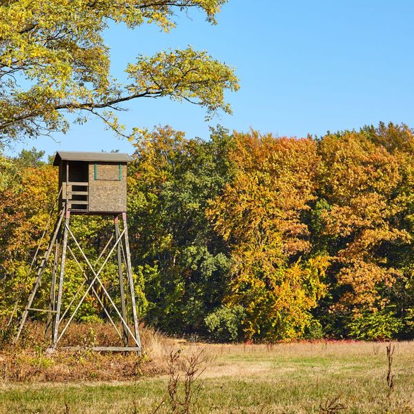 a hunting stand near a wooded area