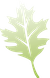 leaf.png