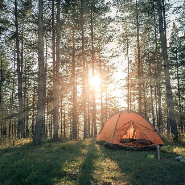 A tent in an Alabama forest with the sun rising behind it