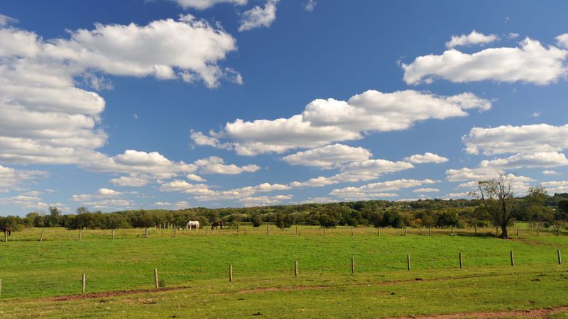 farmland with clouds in sky