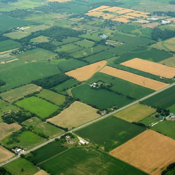 aerial view of farms