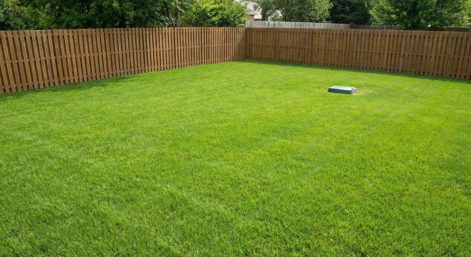 The Brain of Your Septic System 1.jpg