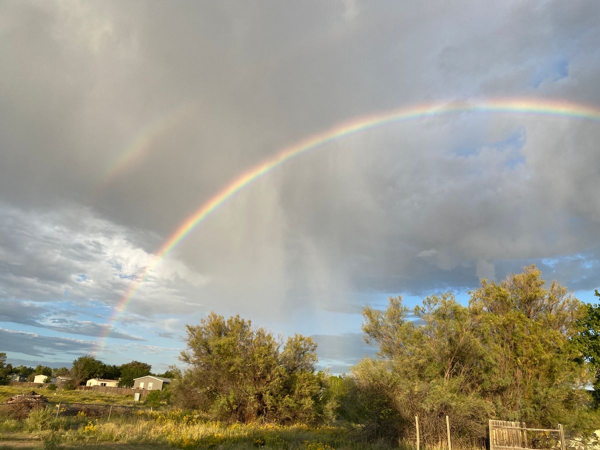 Rainbow over the park.jpg