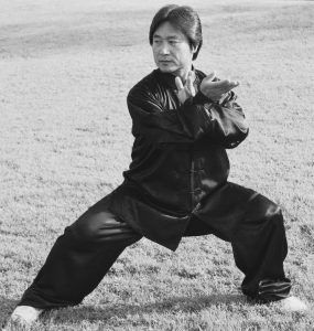 Owner and Instructor Kam Lee in martial arts pose