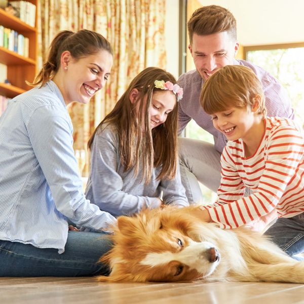 a large family petting a large dog in their living room