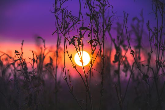 sunset.jpg