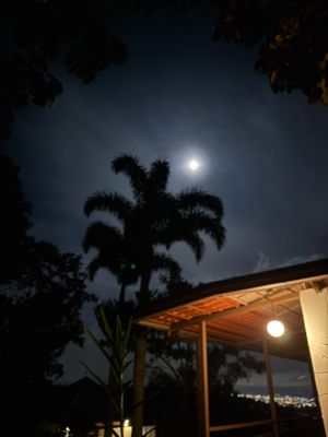 IMG_0990.JPG