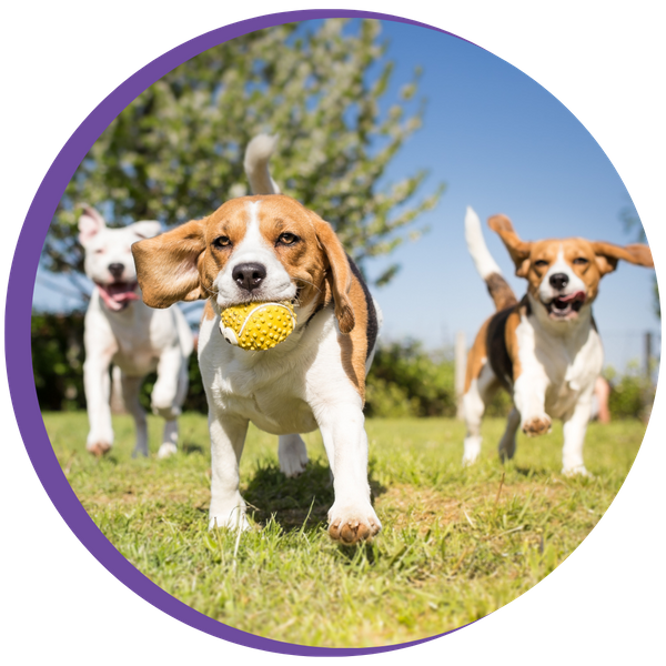 Areas We Serve 3.png