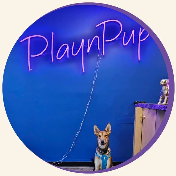 transportation 2.jpg