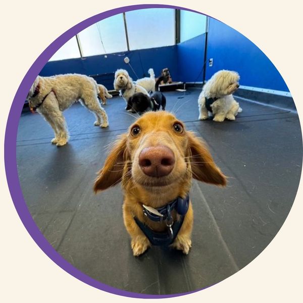 transportation 3.jpg