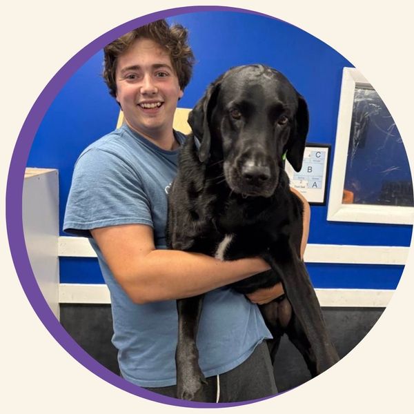 person holding large dog Dog Training 1.jpg