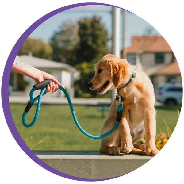 Areas We Serve 2.png