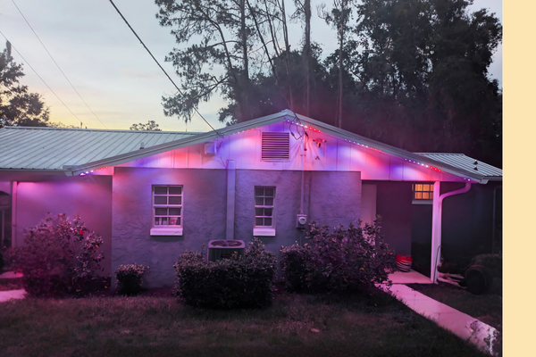 Ocala - 2.png