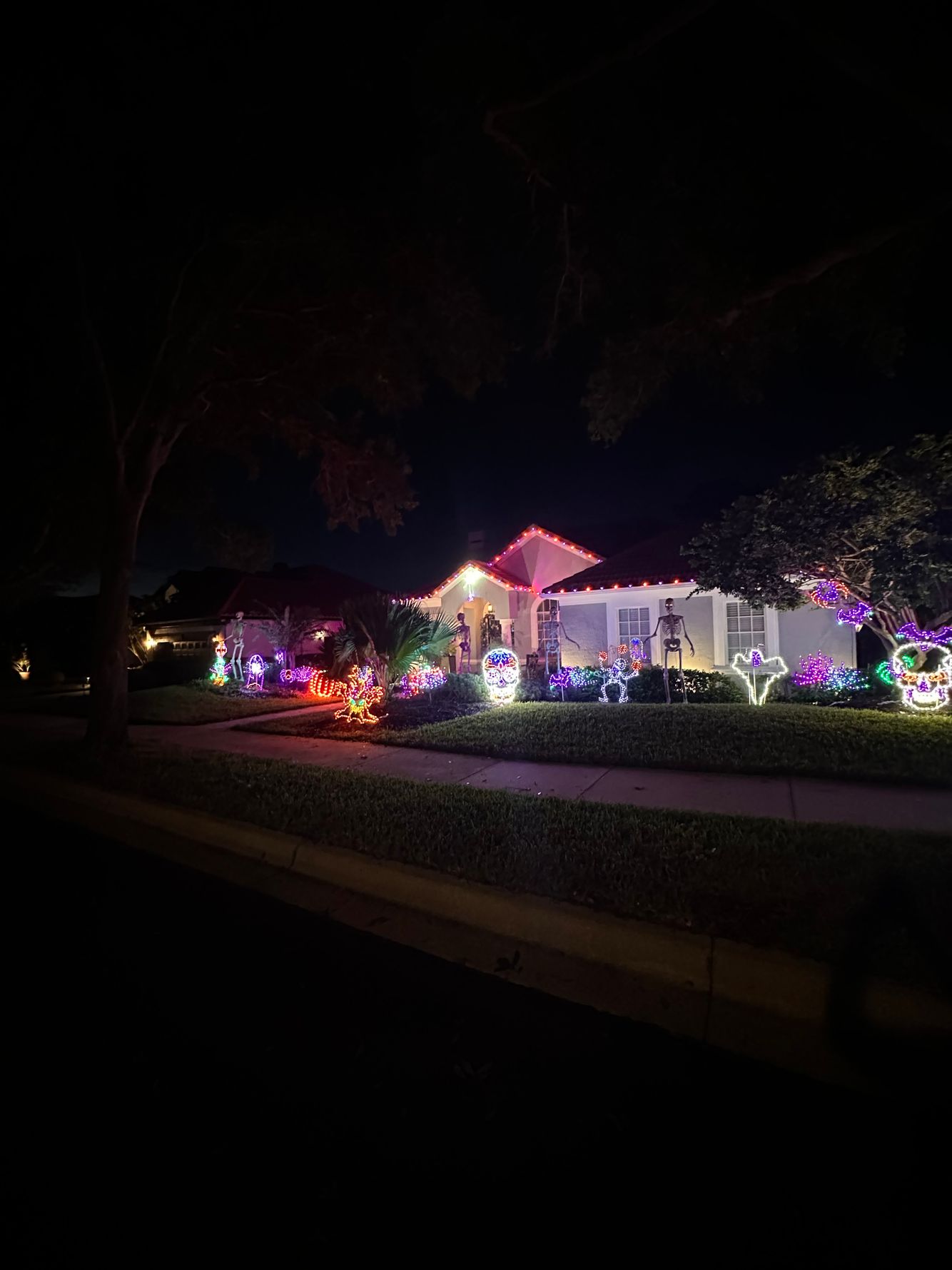 IMG_20250823_205306 (1).jpg