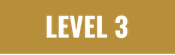 level 3.png