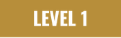 level 1.png