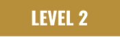 level 2.png